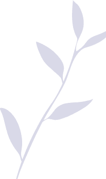 Decorative Vector Left